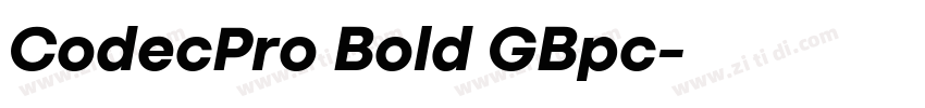 CodecPro Bold GBpc字体转换